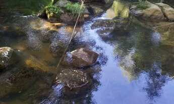 Imagem 2: Chácara linda a venda em Campo alegre sc