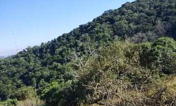 Imagem 3: Lotes de 600m² Terreno / lote com venda por R$55.000