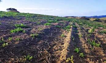 Imagem 7: Lote/Terreno para venda com 500 metros quadrados em Atibaia Belvedere - Atibaia - SP