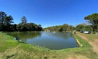 Imagem 2: Sítio - Nova Aparecida - Campinas