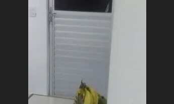 Imagem 2: Village prox à ceasa