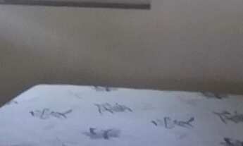 Imagem 2: Kitnet Rio Tavares tipo loft local tranquilo