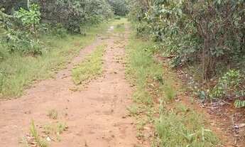 Imagem: . Uma Fazenda de 50 alqueires município