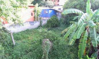 Imagem 3: PORTO ALEGRE - Terreno Padrão - Medianeira