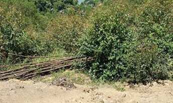 Imagem 4: Igaratá lotes a venda com vista para represa