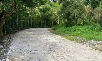 Imagem 5: Lotes Na Serra A 2Km Do Centro Do Pacoti E 07 De Guaramiranga Vem Para Esse Paraiso. n°:Ca