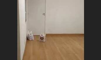 Imagem 3: Vende se um apt Apartamento com 2 dormitórios