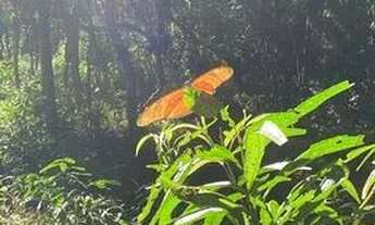 Imagem 4: Aluga-se quarto em Hostel Holístico