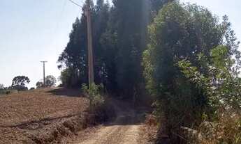 Imagem 6: Chácara pangaré