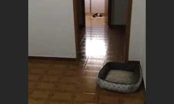 Imagem 3: Casa Padrão em São José do Rio Preto