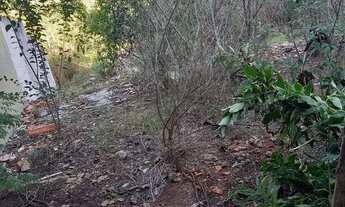 Imagem 3: Terreno residencial ou comercial 10×70m, quitado