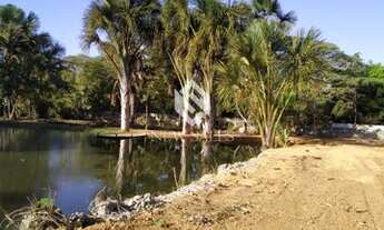 Imagem 6: Excelente chácara com 2 tanques de peixe no Município de Hidrolândia