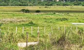 Imagem 3: Vendo Área 13.068 m² / R$ 470.000,00