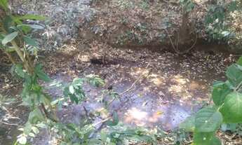 Imagem 2: Sitio 5.000m² perto da Serra do cipó! Para você que buscar descanso e lazer,Jaboticatubas