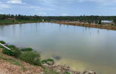 Imagem 3: Arrendamento Fazenda de Camarão