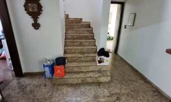 Imagem 7: CASA ASSOBRADADA - GRANJA JULIETA - SP