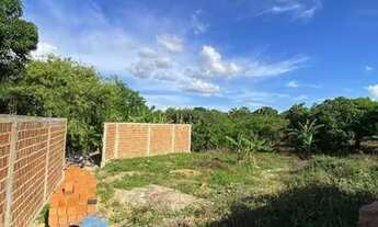 Imagem 3: Vendo terreno amplo no lameiro