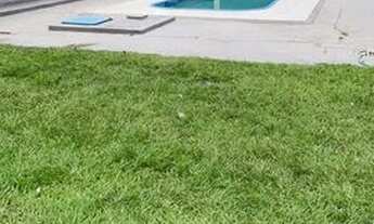 Imagem 3: Fazenda em Tocantins