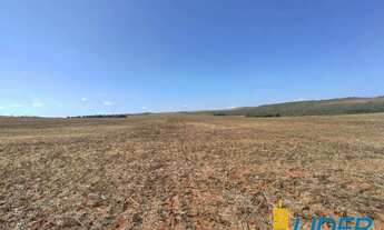 Imagem 4: Excepcional fazenda dupla aptidão com 3.529 hectares e muito bem estruturada à venda em Sã