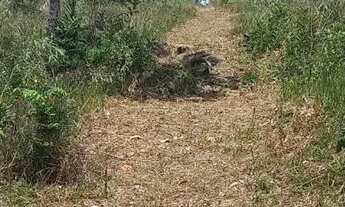 Imagem 4: Imóvel para venda possui 70000 metros quadrados em Subaúma - Entre Rios - BA