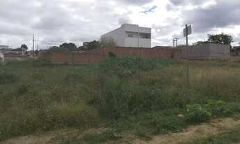 Imagem 2: Área Comercial para Venda em Itaberaba, BR 242 km 90