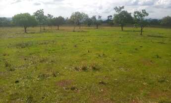 Imagem 4: Fazenda de 625 Hectares de Terras de Cultura e Cerrado Vermelho, Muita Madeira de Lei - Ri