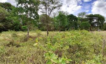 Imagem: TERRENO RURAL 5.264 m² - / ANTÔNIO OLINTO