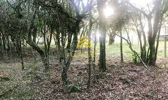 Imagem 2: Imóvel para venda tem 400 metros quadrados em Águas Claras - Viamão - RS