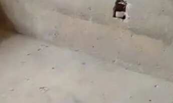 Imagem 6: Vendo casa Casa com 5 dormitórios