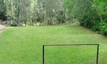 Imagem 2: Sítio fácil acesso