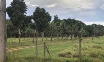 Imagem 5: Fazenda 22 hectares na Manuel Urbano 850.000