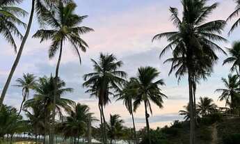 Imagem 4: MALUI RESIDENCE Terreno / lote com venda por R$137.000