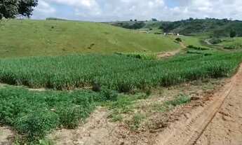 Imagem 6: Venda-se está propriedade de 5 alqueires em São Francisco do Itabapoana/RJ