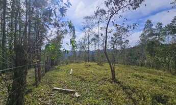 Imagem 3: Terreno com boa topografia em Juquitiba