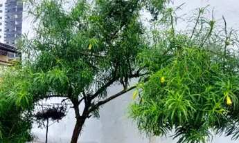 Imagem 3: 1 e 2/4 - Stiep Casas