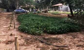 Imagem 3: Rancho à venda, 100 m² por R$ 280.000,00 - Zona Rural - Rio Verde/GO