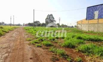 Imagem 3: Terreno em Vila Elisa - Ribeirão Preto
