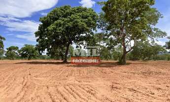 Imagem: Fazenda 147,3 alqueires ( 713 hectares )