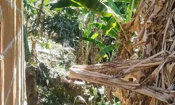 Imagem 2: Sito no Bairro Serrinha (De campo grande