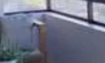 Imagem: APARTAMENTO 3 QUARTOS (1 SUÍTE), 83M²