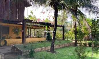 Imagem 3: Chácara 27.600 m² - TO-010 Km 14, Sentido Lajeado