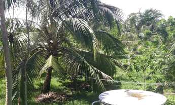 Imagem 4: BAIRRO: ESTIVA Área de terreno a venda de 69 mil m2 - Ilha de São Luís