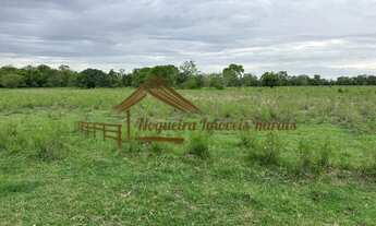 Imagem 6: Sitio com 14 alqueires na região de Porangaba/SP