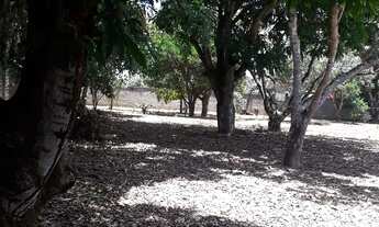 Imagem 5: Chacara em Senador Canedo