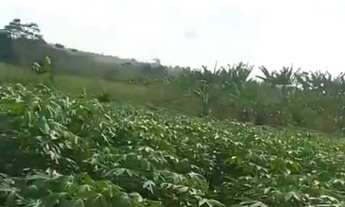 Imagem 5: Terreno com casa