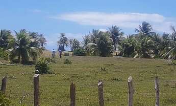 Imagem 7: Aluguel terreno beira mar 5.000mil metros camping praia costa azul mangue seco R$4,900,00
