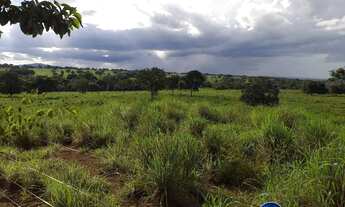 Imagem 4: Fazenda à Venda em Matrinchã Goiás | 46 Alqueires