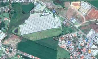 Imagem 2: Campo Largo, Terreno City Center Shopping, PARA 400 UNIDADES, plano s, limpo, em árvores