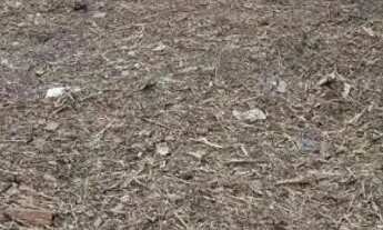 Imagem 2: Vendo terreno 8.75 de frente por 27,50