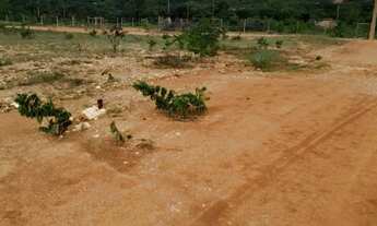 Imagem 6: Chácara de esquina 10km do trevo de Juramento